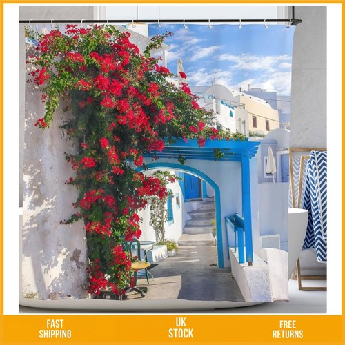 Vibrant greek bougainvillea - greek,