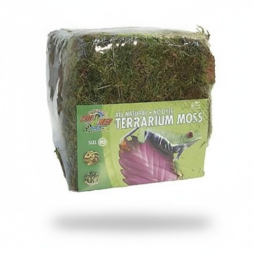 Terrarium moss large 28l - moss,