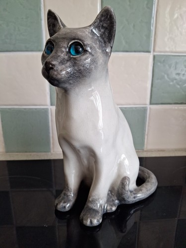 Winstanley siamese cat sitting - winstanley,