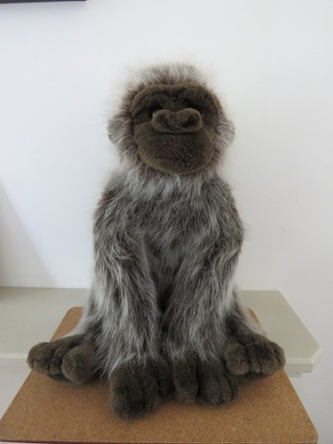 Rumbles silverback gorilla - rumbles,