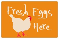 Fresh eggs here fun modern - fresh, here,
