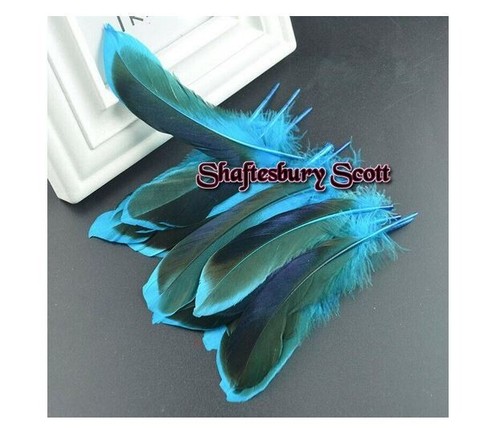 Turquoise 2 tone - 10,