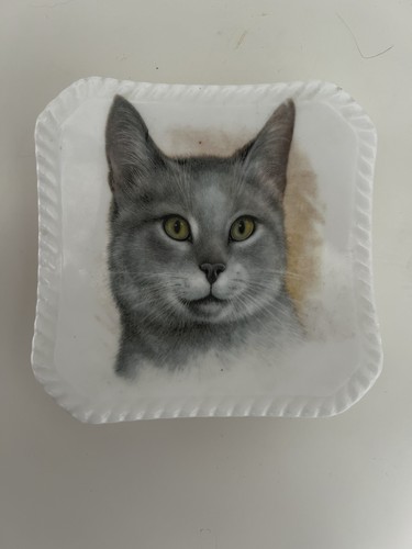 Royal adderley cat bone china - adderley,