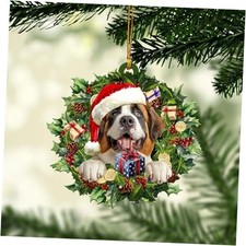  St. Bernard Wearing A