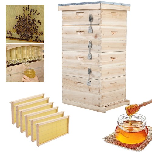 4tier langstroth beehive brood - langstroth,