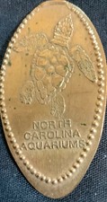 COPPER! RETIRED! SEA TURTLE -