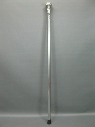 Stainless steel walking - stainless,
