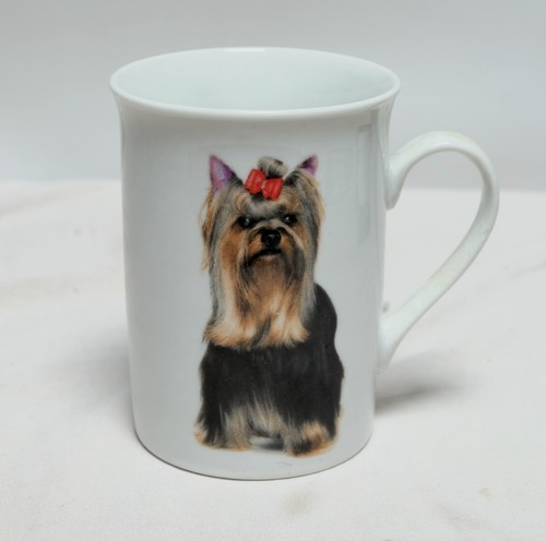 Best breed yorkshire - breed,