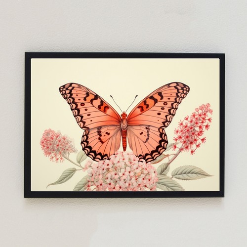 Vintage butterfly illustration - vintage,