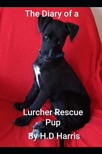 The diary rescue - the,