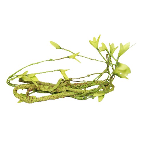 Reptile vines flexible jungle - vines,,
