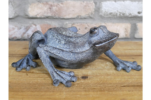 Frog garden ornament - ornament, decor