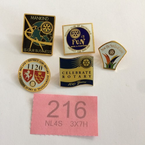 Rotary international pin - rotary,