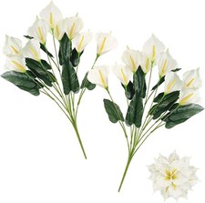 Daily Treasures White Calla