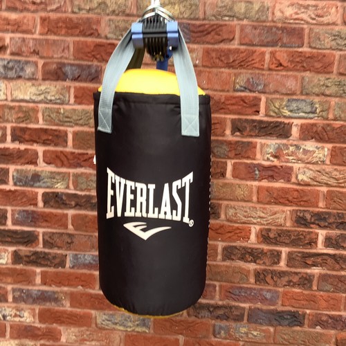 Everlast punch bag with - punch, gloves