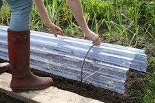 Pair of Garden Cloche Hoops