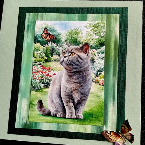 Greeting card showing - card,