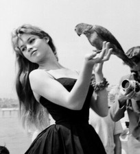 Brigitte Bardot Unsigned 10" x