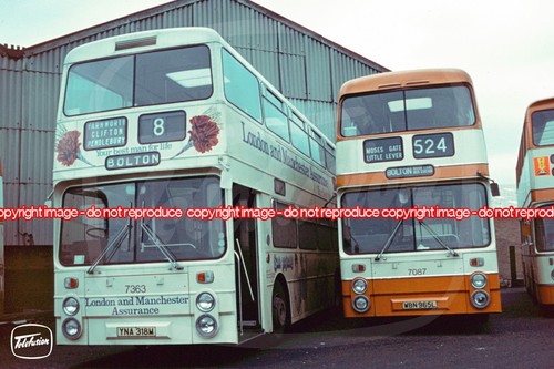Bus photo selnec 7363 - bus,