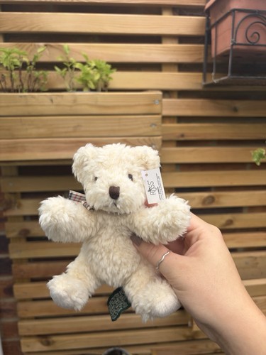 Russ bears love cream teddy - in,