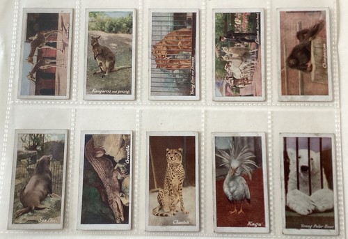 Typhoo tea 1932 zoo - typhoo, series