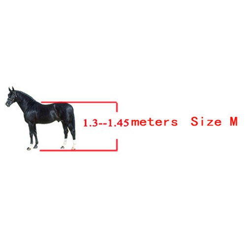 Horse tendon guard impact - tendon,