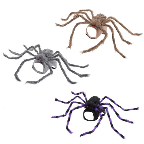 Pet costume funny - funny, spiders