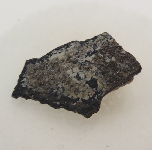 Hadrosaur egg shell fossil - egg,