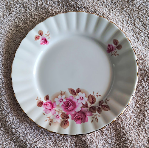 Salisbury bone china england - bone,