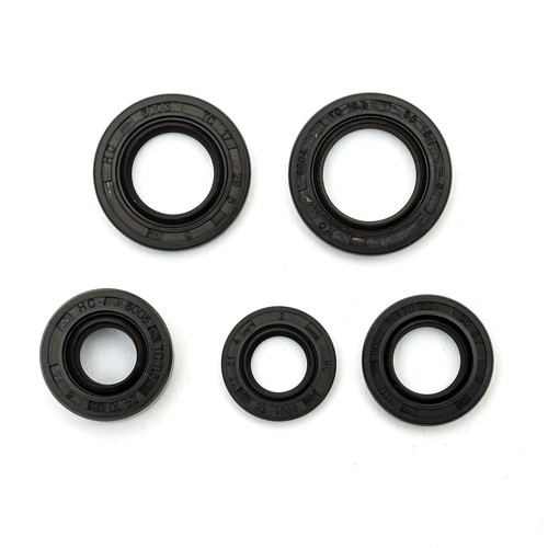 Oil seal gasket set - oil, pit