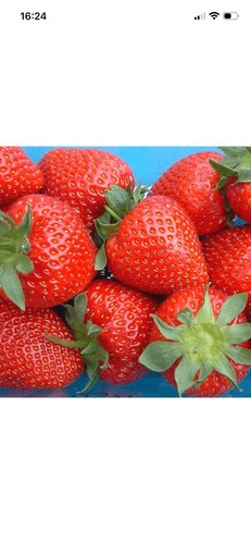 Cheapest ebay x mixed - on,
