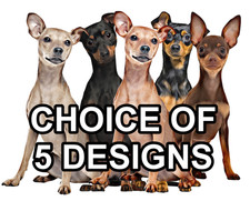 Miniature Pinscher Self