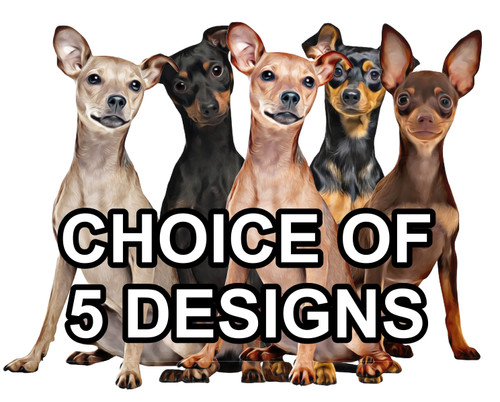 Miniature pinscher self - pinscher,