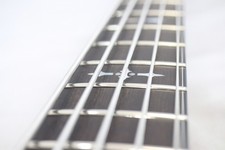 Schecter AD-HR-EX 5-String