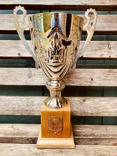 Big silver trophy 5 - 🏆,