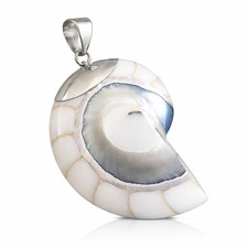 Large White Nautilus Shell 925