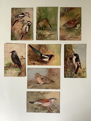 Roland green birds artist - roland,