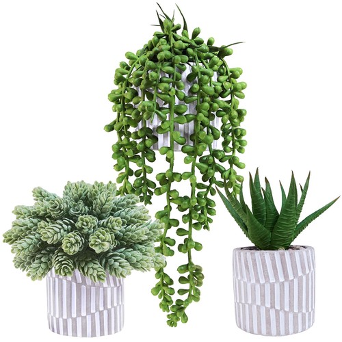 Pack small faux succulent - small,