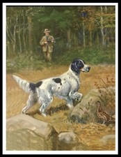 ENGLISH SETTER MAN GUN