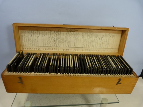 Microscope slides histology - microscope,