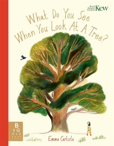 What you see when - what, do