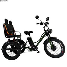 24" Electric Tricycle 48V 18Ah