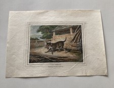 Samuel Howitt Print Etching