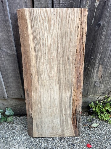 English oak - english,