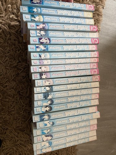 Fruits basket manga bundle - basket,