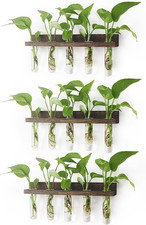 Plant Propagation Station