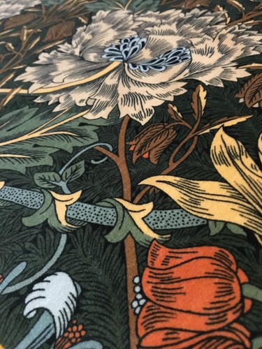 Morris honeysuckle tulip - morris, &