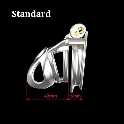 Stainless steel python - steel, bird