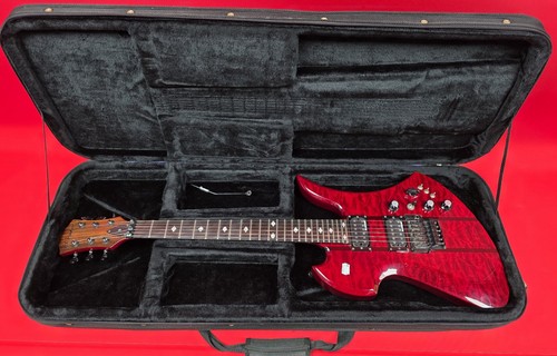 Rich mockingbird guitar - mockingbird,