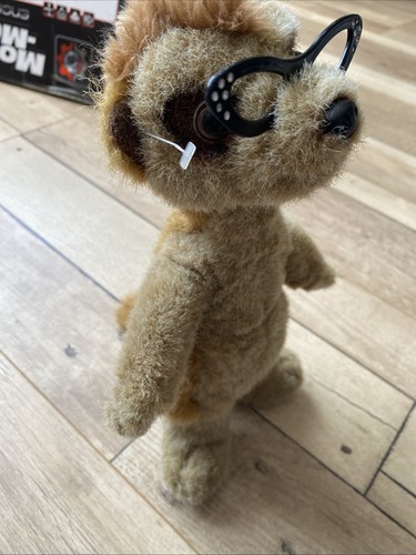 Maiya meerkat compare - maiya,